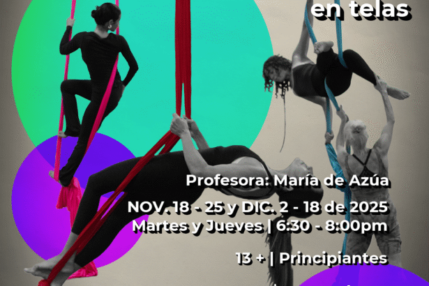 Acrobacia aérea – Adultos | Básico I