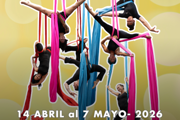 Acrobacia aérea – Adultos